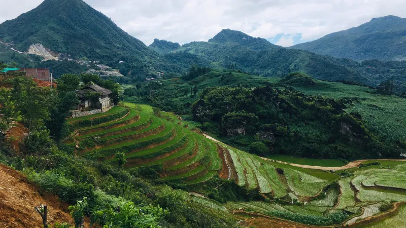 /storage/photos/2/tour-viet-nam/amazing-vietnam-in-14-days/amazing-vietnam-in-14-days.zip - amazing-vietnam-in-14-days-15.webp